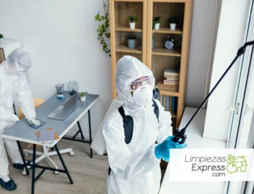 ¿Limpias casas? Estas 3 especialidades pueden duplicar tu facturación